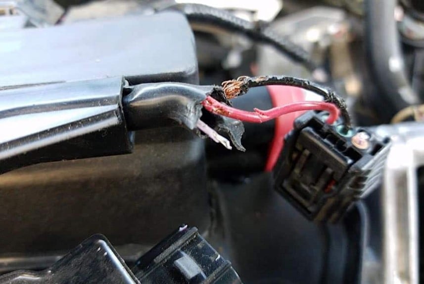 Tips for keeping your Ford wire harness in good condition